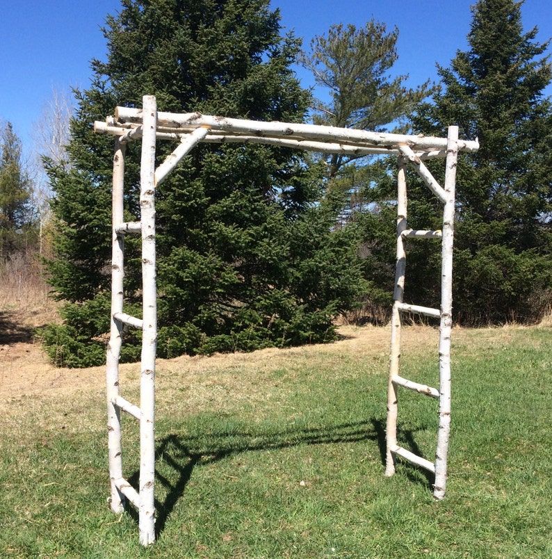 White Birch Wedding Arch image 1