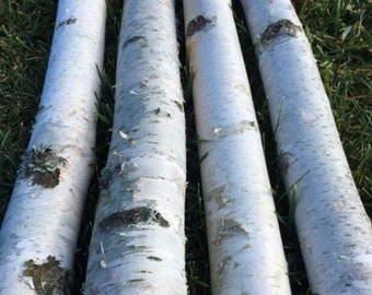 Four 7 Foot Long White Birch Poles