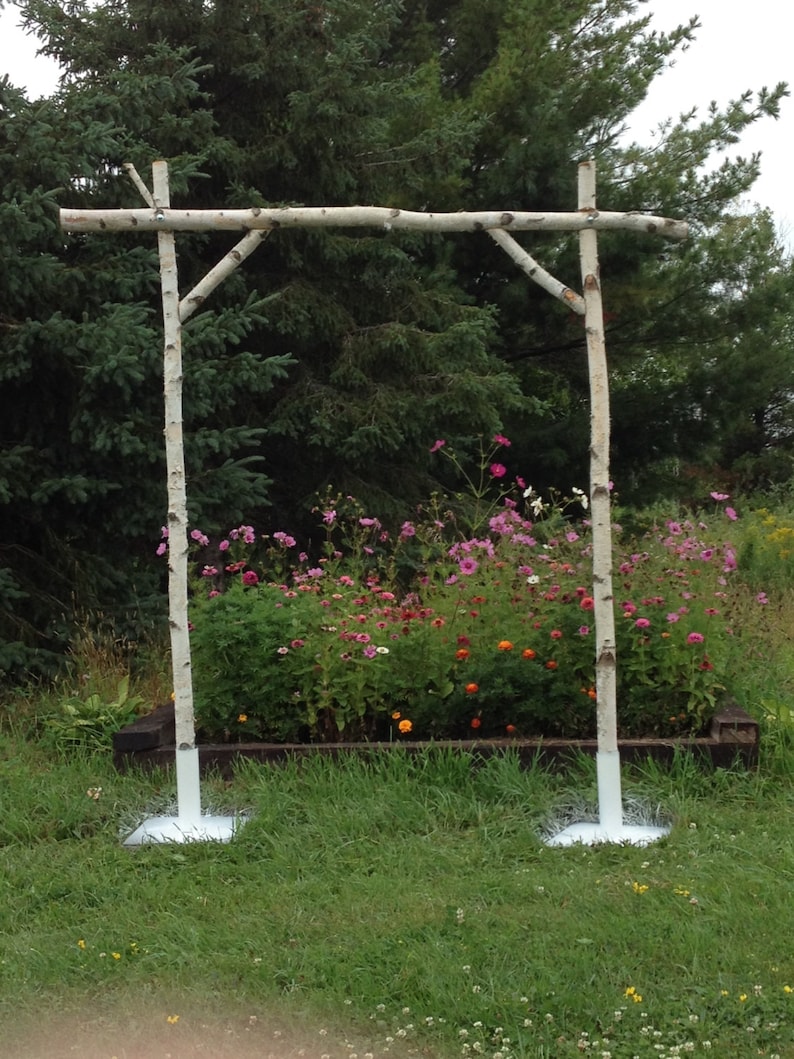 5 Piece Birch Wedding Arch Etsy