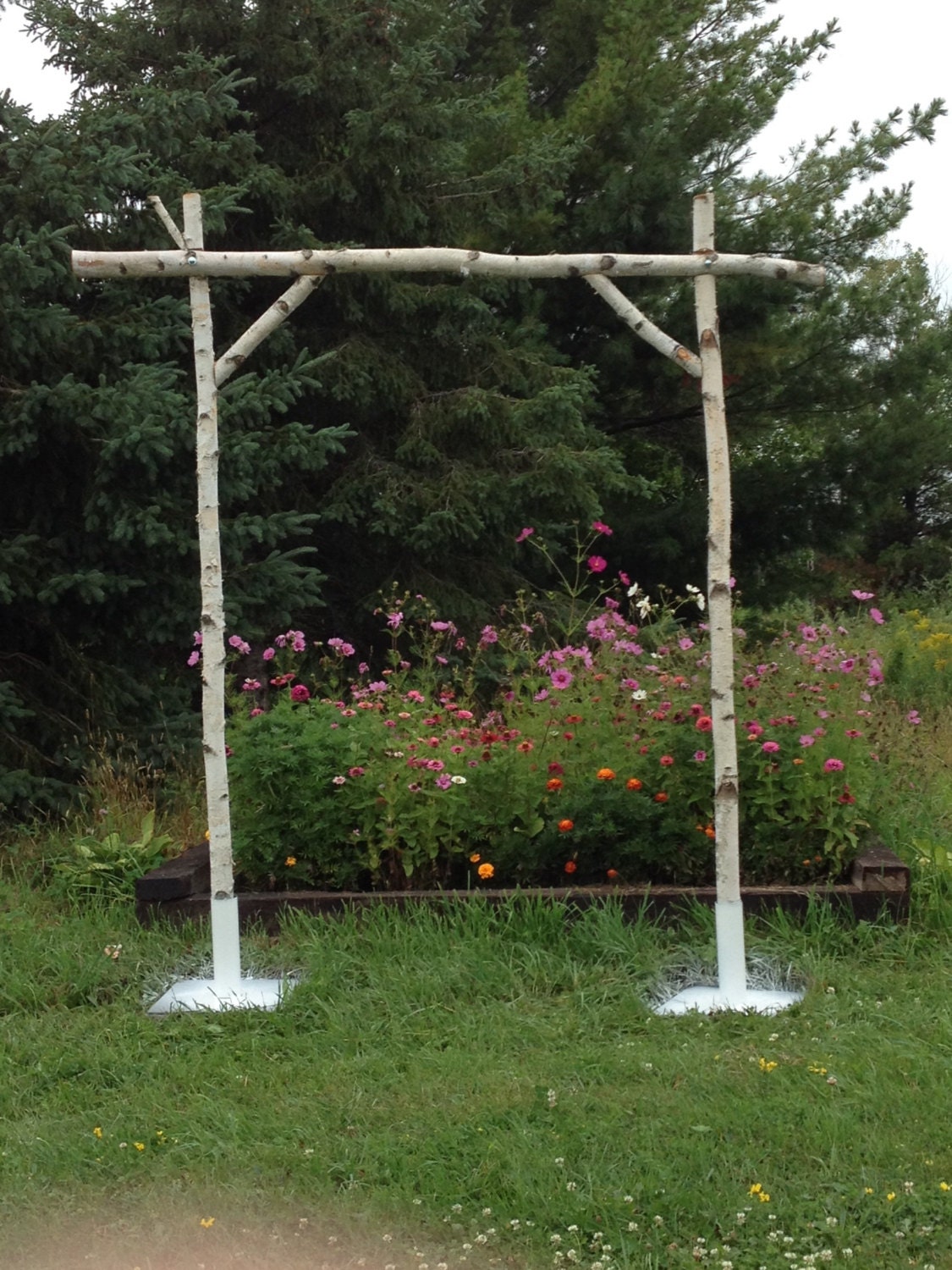 5 Piece Birch Wedding Arch 5 Piece Birch Wedding Arch
