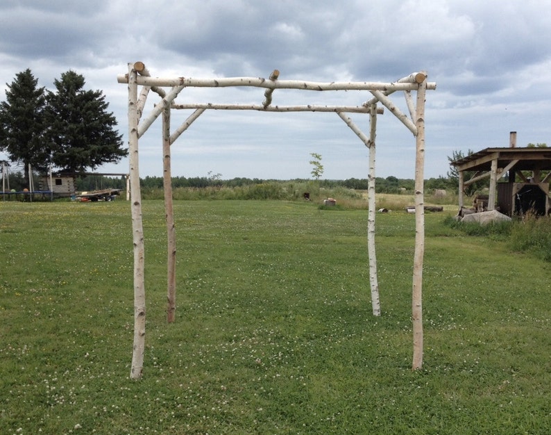 White Birch Wedding Chuppah image 1