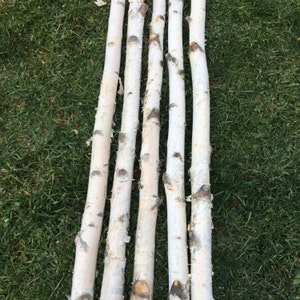 May include: Five white birch branches, stripped of bark, are arranged in a row on a bed of green grass. The branches are all about the same length and thickness.