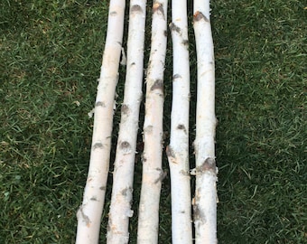 Amish-made Natural Large White Birch Logs 3-packs Great for