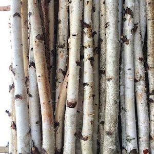 May include: A bundle of white birch branches, stripped of their bark, with a natural, rustic look. The branches are stacked together, creating a textured background.