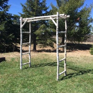 May include: A white birch wood wedding archway with a rustic design. The archway is made of natural branches and has a ladder-like design on each side.