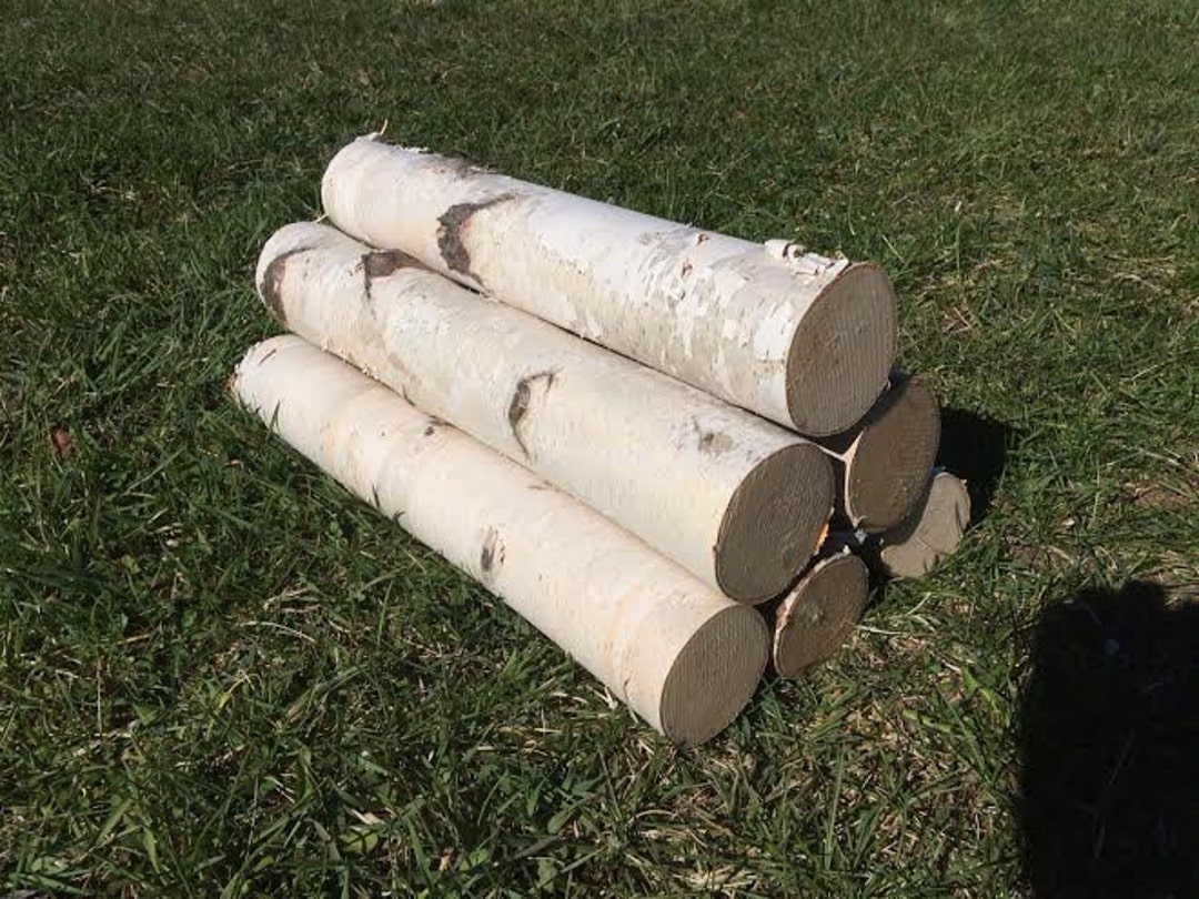 White Birch Logs for Summer Fireplace Basket Rustic Home Living Room Decor  Wood