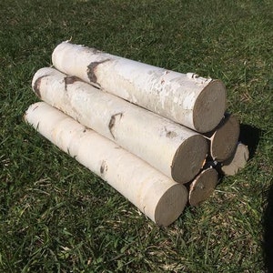 Six White Birch Logs - Free Shipping