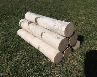 Six White Birch Logs - Free Shipping