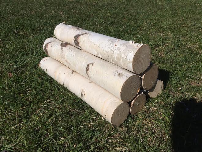 Six White Birch Logs - Free Shipping