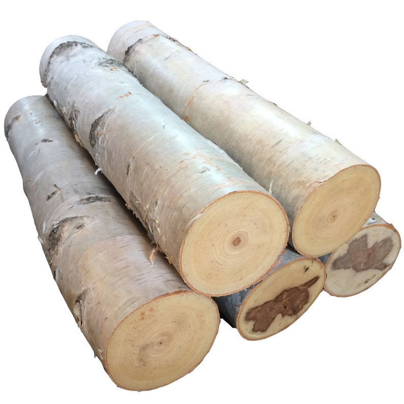 Large White Birch Fireplace Log Set of 5 Free Shipping Etsy