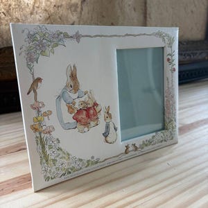 May include: A rectangular white picture frame featuring The Beatrix Potter Collection illustrations of Peter Rabbit and family. The frame is decorated with pastel-coloured floral vines, a small bird, and mice. The text THE BEATRIX POTTER COLLECTION is printed at the bottom.