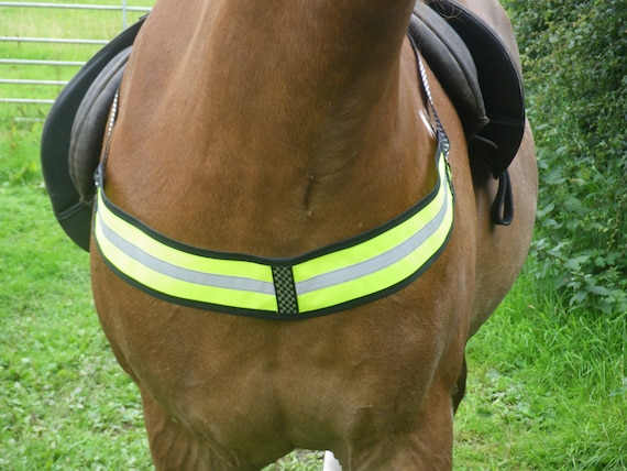 HI-VIZ FLUORESCENT HORSE DRIVING ARMBAND or BREAST COLLAR BAND.