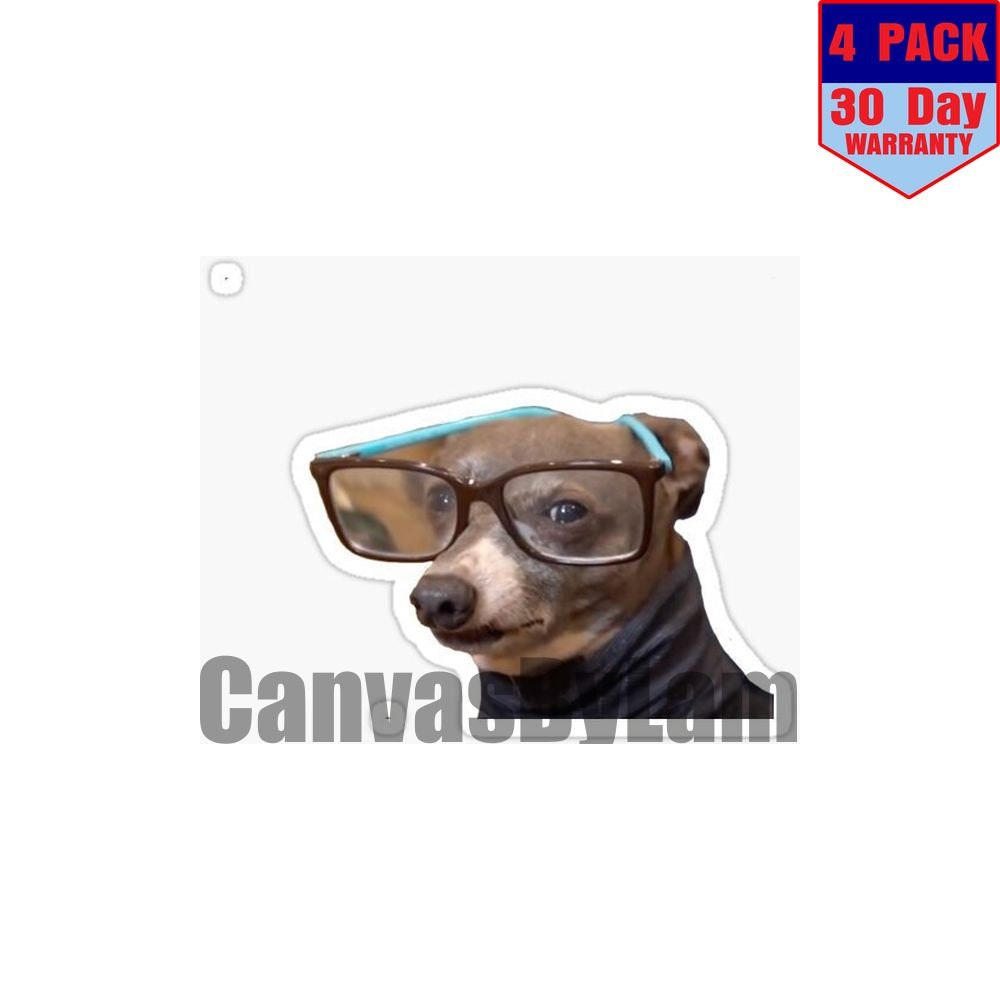 Jenna Marbles Dog Kermit Wearing Glasses 4 pack 4x4 Inch Etsy
