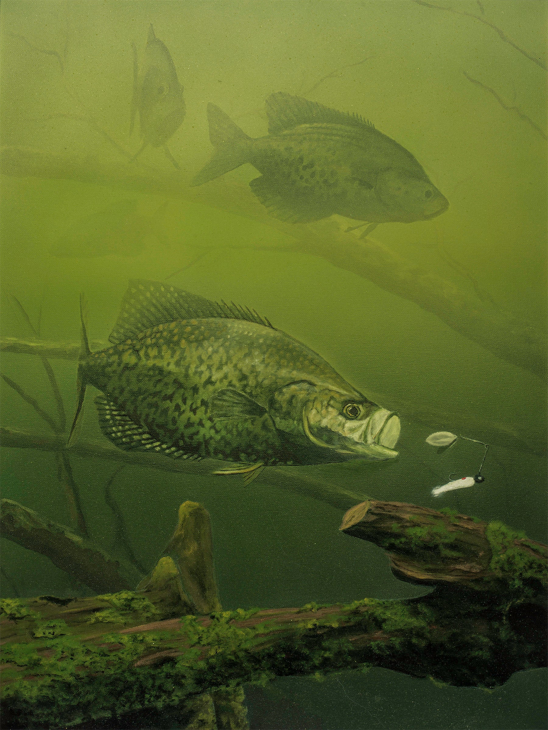 Crappie Painting 