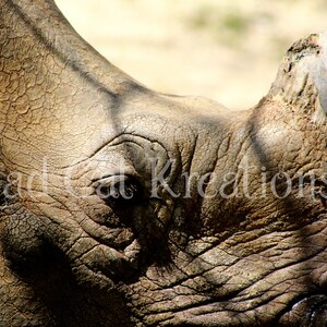 Solitary Horn