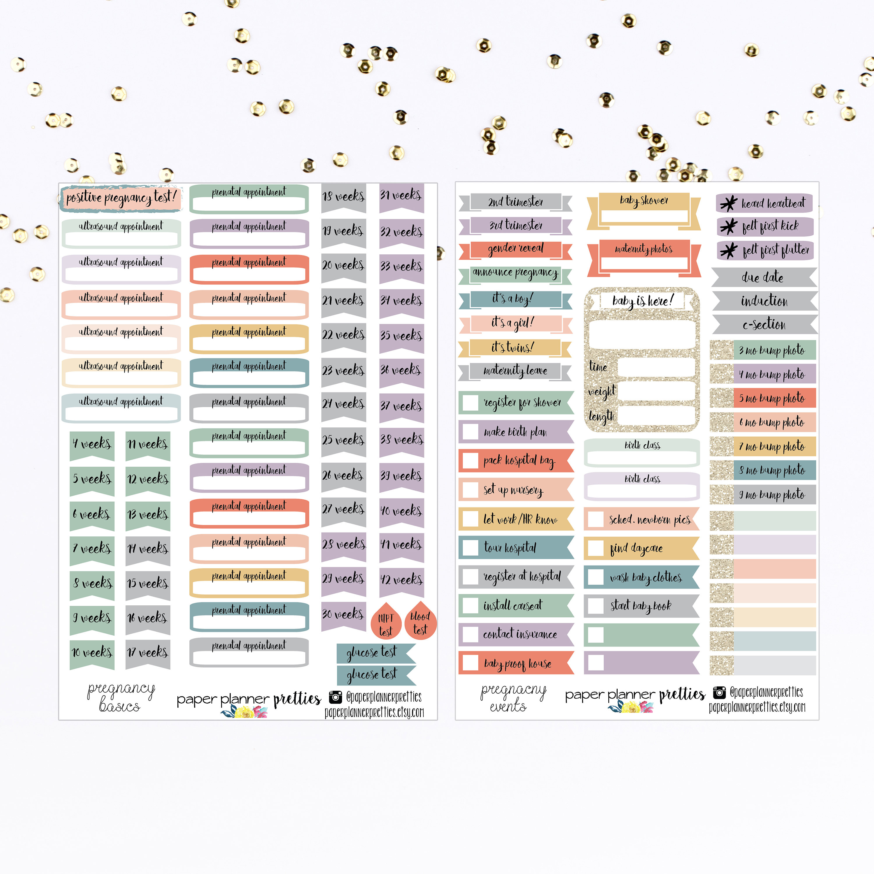 Pregnancy Planner Stickers Weekly Monthly Planner Sticker Kit - Etsy