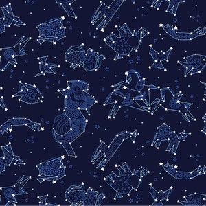 Celestial Magic, Stars Fabric, Constellations Fabric, Light Navy Fabric, Space Fabric, by Clothworks, Y3165-93