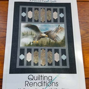 Quilt Pattern, Pieced Panel Quilt, Beginner Pattern, Mandapa, by Quilting Renditions, by Kari Nichols, QR1174