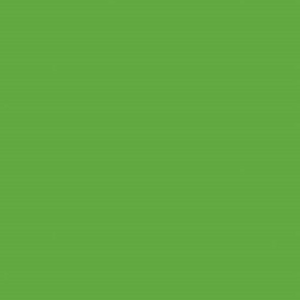 Green Fabric, Solid Cotton Fabric, 24/7 Solid Fabric, Forest Green Solid Cotton, Bright Green Fabric, Hoffman California Fabrics, T4878-44