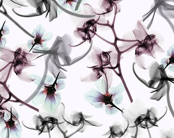 Floral Fabric, Luminance, Black Cherry, Smoke Flower Fabric, Spectrum Digital Print, by Hoffman California, R4608-196