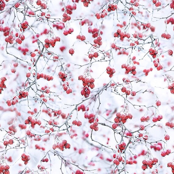 Christmas Berry Allover Fabric White Christmas Berry Allover Fabric White