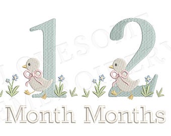 Milestones Baby Duck 4inch Baby Months Machine Embroidery Baby Girl Milestones Numbers Digital Download | Lovesome Design