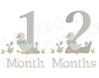 Milestones Baby Duck 4inch Baby Months Machine Embroidery Baby Boy Milestones Numbers Digital Download | Lovesome Design