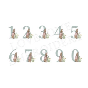 Numbers Cottontail Rabbit 4inch 0-9 Machine Embroidery Numbers Digital ...