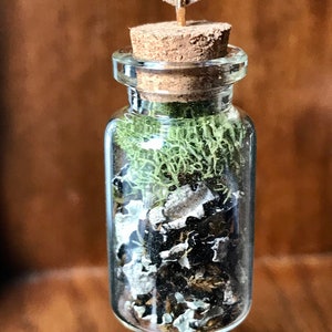 Forest Terrarium Necklace, Real Moss Dried Mushroom Necklace, PNW Glass Terrarium Pendant, Terrarium Jewelry, Handmade Woodland Jewelry