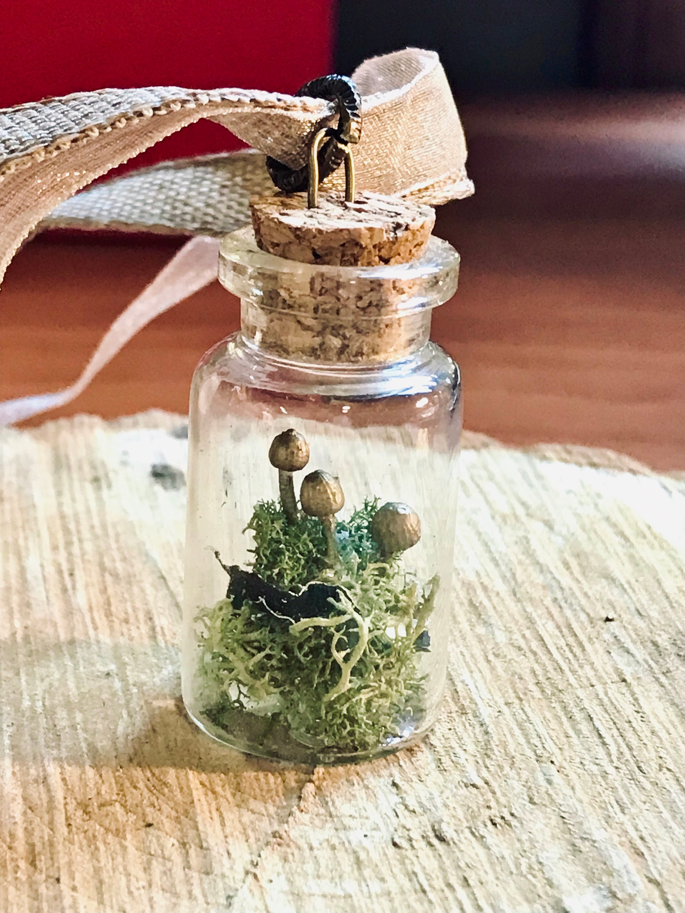 Terrarium pendant best sale