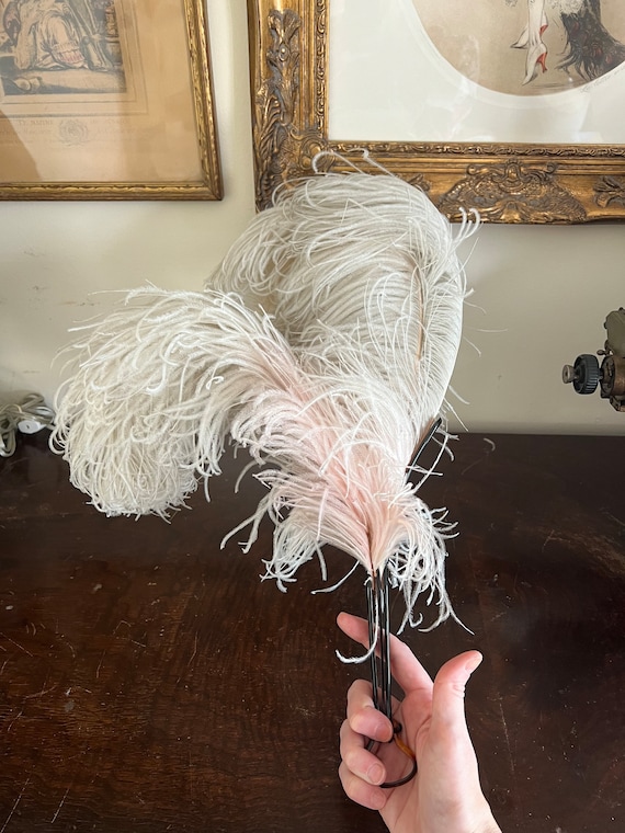 1920s 1910s  ostrich feather boudoir evening anti… - image 4