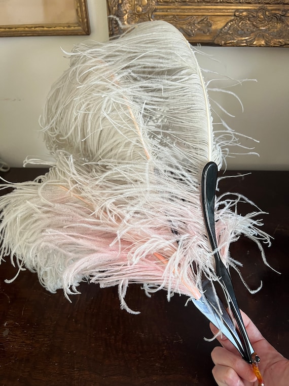 1920s 1910s  ostrich feather boudoir evening antiq