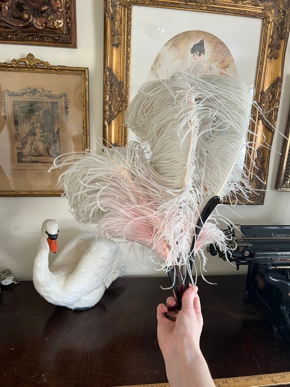 1920s 1910s  ostrich feather boudoir evening anti… - image 6