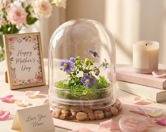 Awarded: Everlasting Persian Violet  Live Flower Terrarium with Sundew Moss, Maintenance Free, Blooms All-Season, 100% Growth Guarantee