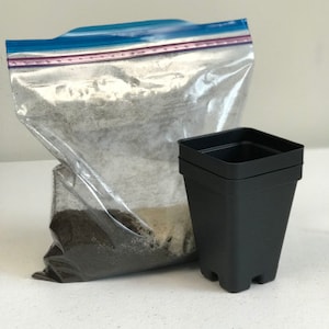 May include: A clear plastic bag filled with dark brown potting soil, next to a black plastic plant pot with a square top.
