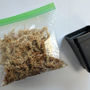 May include: A clear plastic bag filled with dried sphagnum moss, next to a black plastic plant pot.