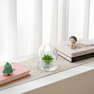 May include: A clear glass terrarium with a small green plant inside sits on a white windowsill. A small green figurine and a stack of books are also on the windowsill. A beige patterned runner is under the terrarium and books.