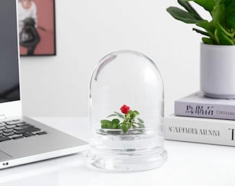Zero Care Rose, Flower Terrarium, For Your Lovely One