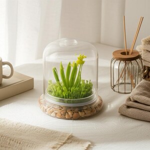 K&ouml;nnte beinhalten: Eine Glashaube mit einem kleinen Pflanzenarrangement, mit gr&uuml;nem Laub und gelben Bl&uuml;ten, steht auf einem Tisch. Eine beige Tasse und gefaltete Handt&uuml;cher sind ebenfalls vorhanden, was eine dekorative Szene schafft.