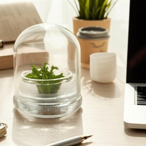 May include: A clear glass terrarium with a small green plant inside sits on a light-colored wooden desk. A laptop, notepad, pen, and a small potted plant are also on the desk. The terrarium has a dome-shaped glass cover.