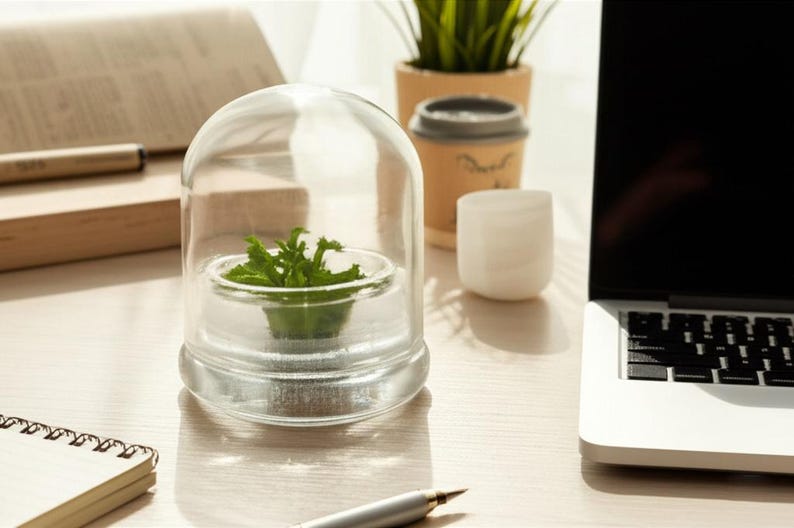 May include: A clear glass terrarium with a small green plant inside sits on a light-colored wooden desk. A laptop, notepad, pen, and a small potted plant are also on the desk. The terrarium has a dome-shaped glass cover.