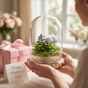 May include: A glass cloche terrarium with a miniature garden of purple flowers and green foliage. The terrarium sits on a base of small stones. A pink gift box with a bow and a card that says "Happy Mother's Day" are also in the image.