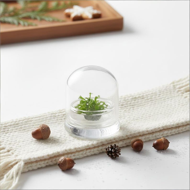 May include: A clear glass terrarium with a small green plant inside. The terrarium is on a white knitted scarf, with several acorns and a pinecone scattered around it. A wooden tray with greenery and cookies is in the background.