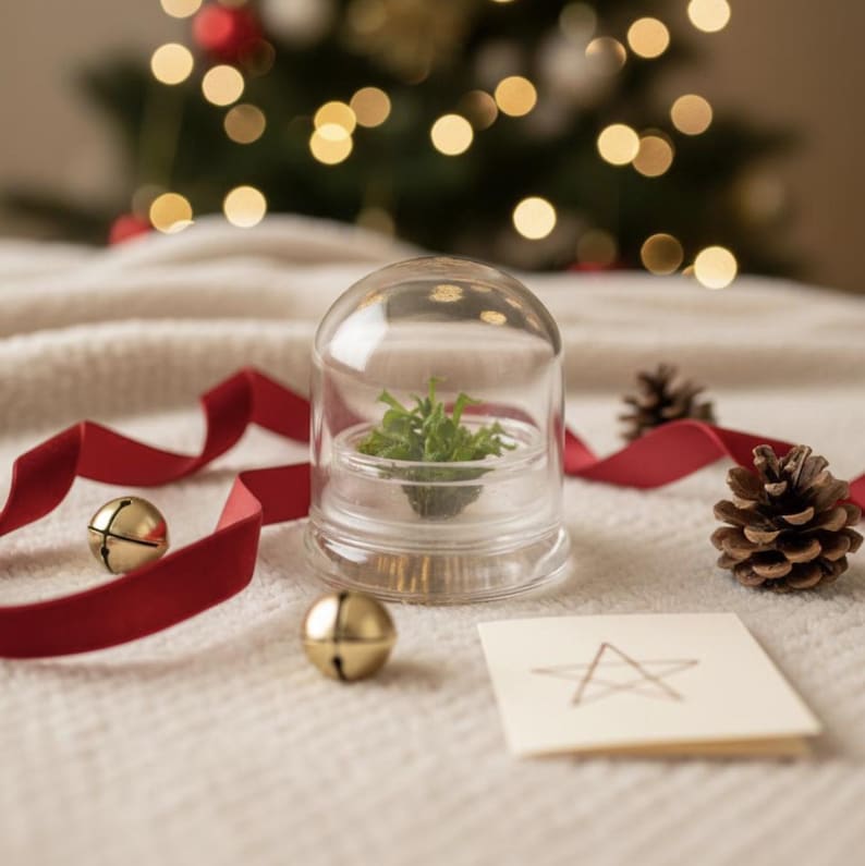 May include: A clear glass terrarium with a small plant inside, set on a white surface. A red ribbon, gold bells, a pine cone, and a card with a star design are arranged around it. The background features a blurred Christmas tree with lights.