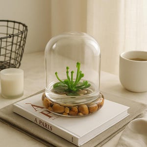Bloomify Anti-Fog Glass Large Dome – 3.5 x 3.5 x 4.3 Inches – Perfect for Home Decor, Tabletop Displays, and Creative Projects (No Plants) image 2