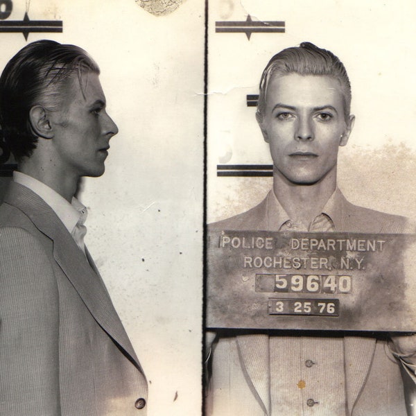 David Bowie Coolest Mugshot Ever Poster Art Photo Great Musicians Posters Photos 12x12