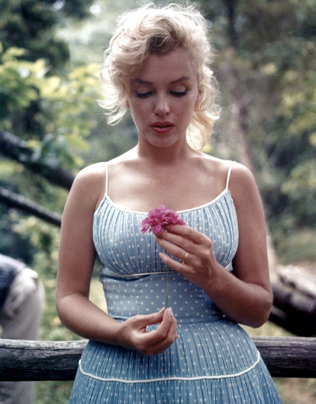 Marilyn Monroe Poster Photo Holding a Flower Color Wall Art 8x10