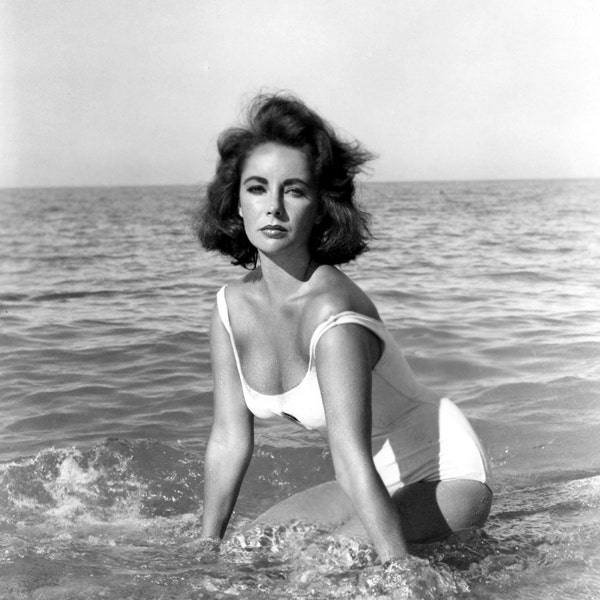 Elizabeth Taylor Suddenly Last Summer Iconic Hollywood Poster Art Photo 11x14