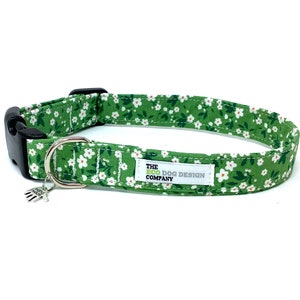 Green Daisies, Daisy Dog Collar, Adjustable Dog Collar