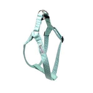 Mint Green Polka Dot Dog Harness